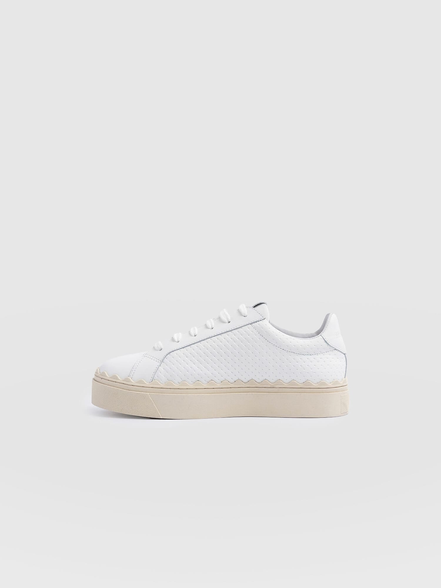 Brook Scallop Sweater White - Women's Sweaters | Saint + Sofia® US