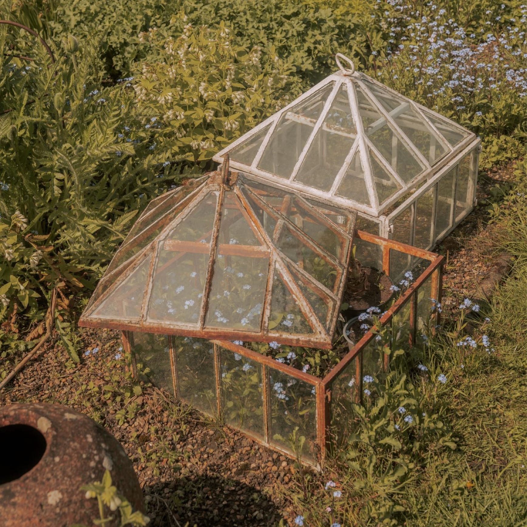 Saint & Sofia - Lavender Lane