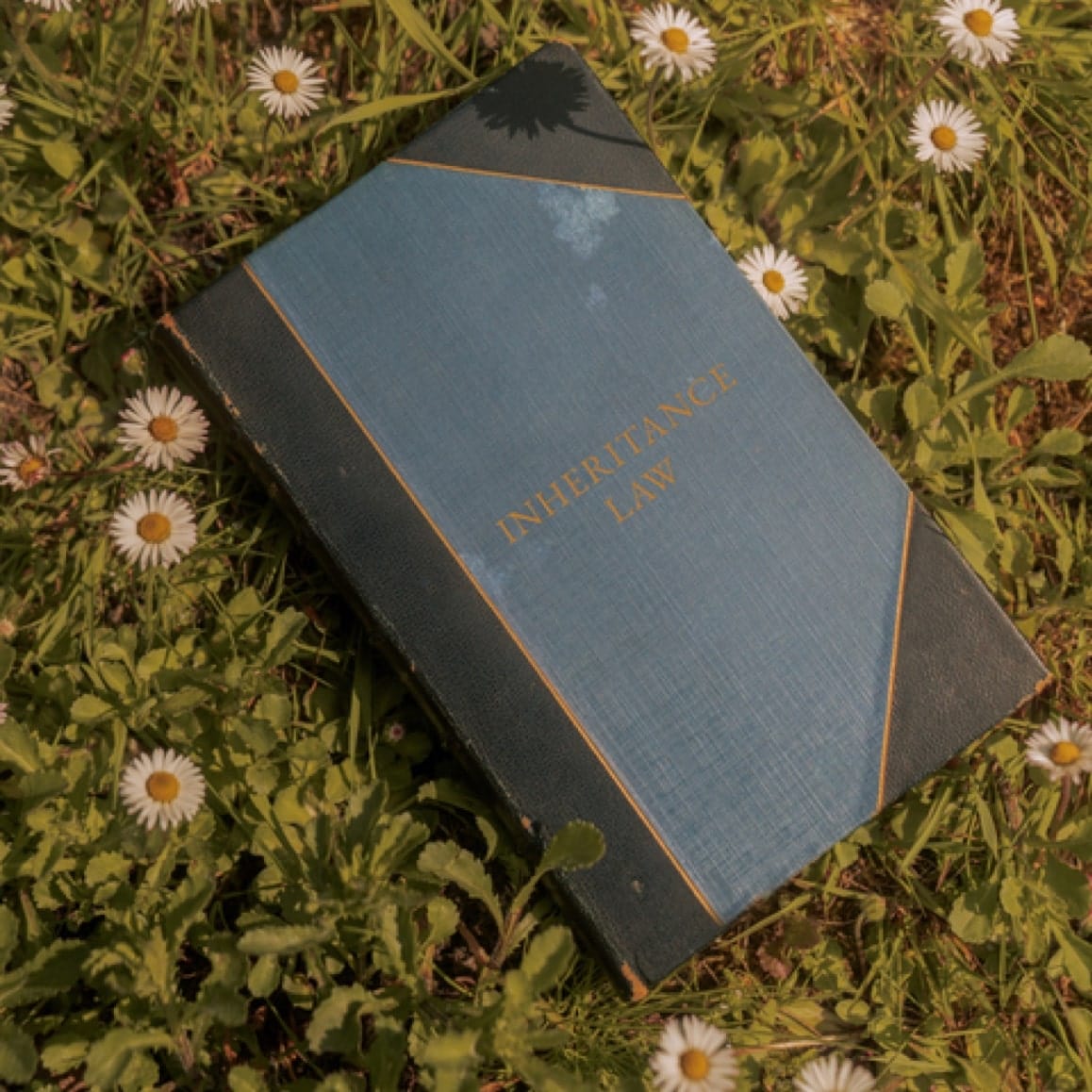 Saint & Sofia - Lavender Lane