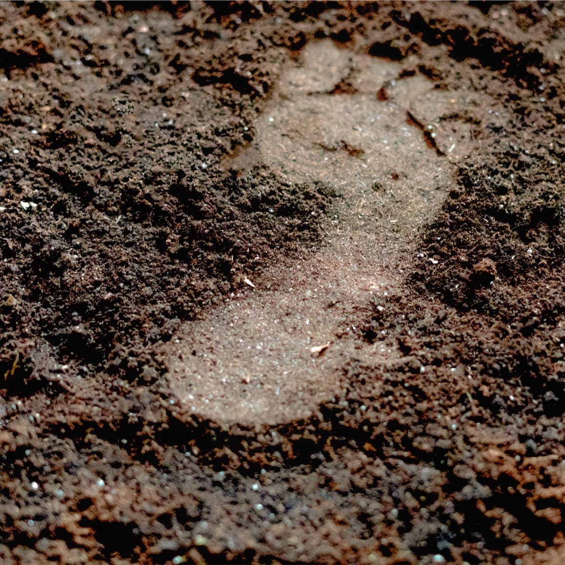 Saint & Sofia - Lavender Lane