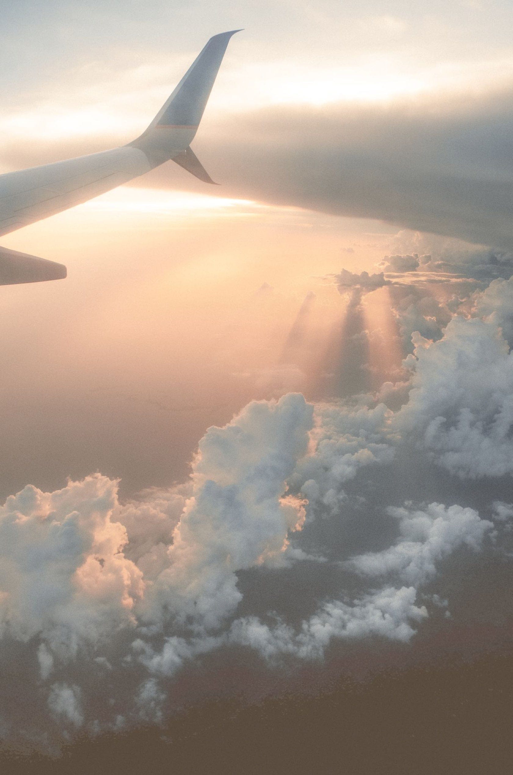 Saint & Sofia - Odyssey | A/W 22 Fashion Campaign | Saint + Sofia® USA