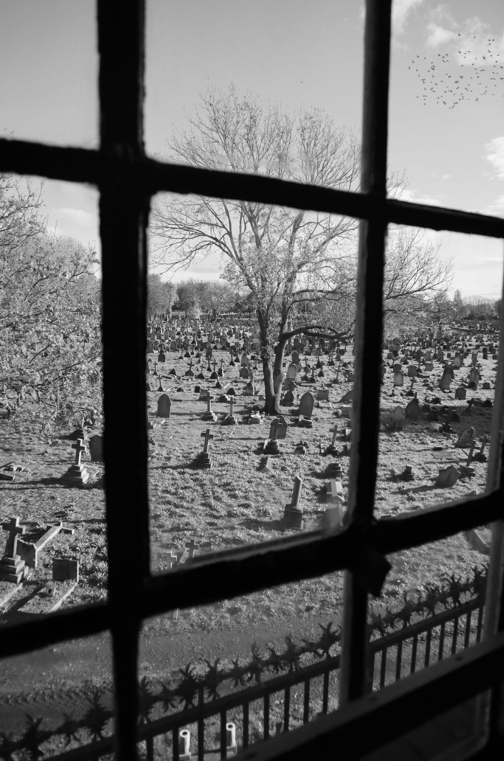 Saint & Sofia - Odyssey | A/W 22 Fashion Campaign | Saint + Sofia® USA