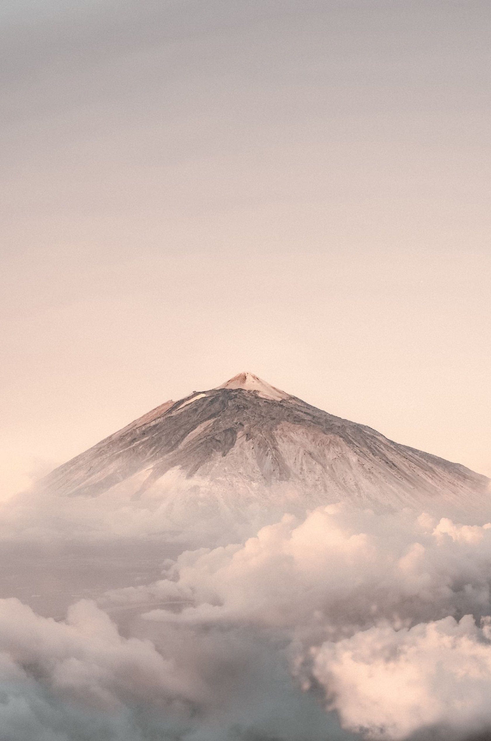 Saint & Sofia - Odyssey | A/W 22 Fashion Campaign | Saint + Sofia® USA