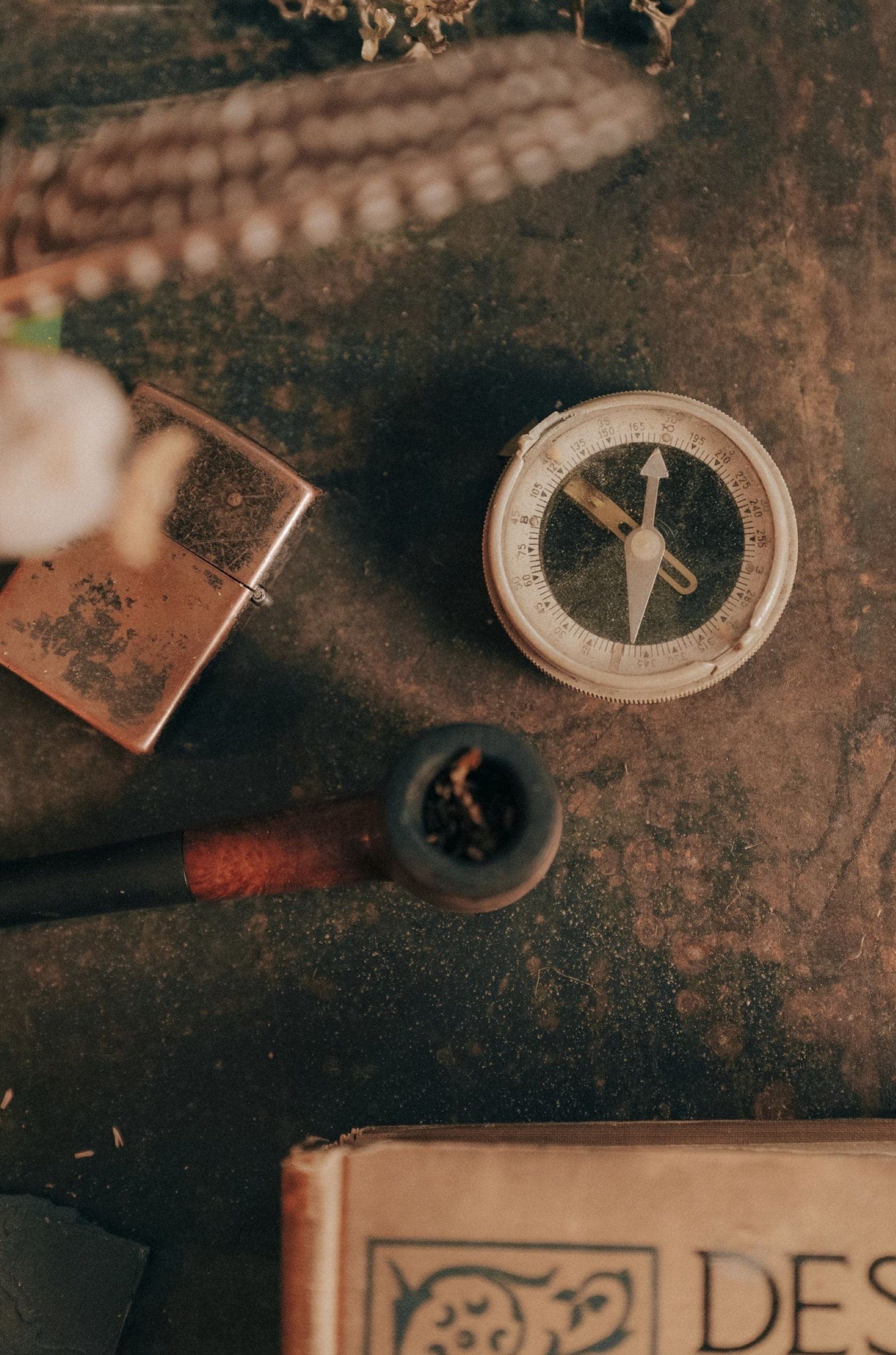 Saint & Sofia - Odyssey | A/W 22 Fashion Campaign | Saint + Sofia® USA