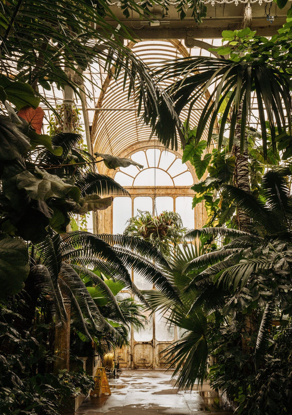 Saint & Sofia - All Lookbooks - The Botanist