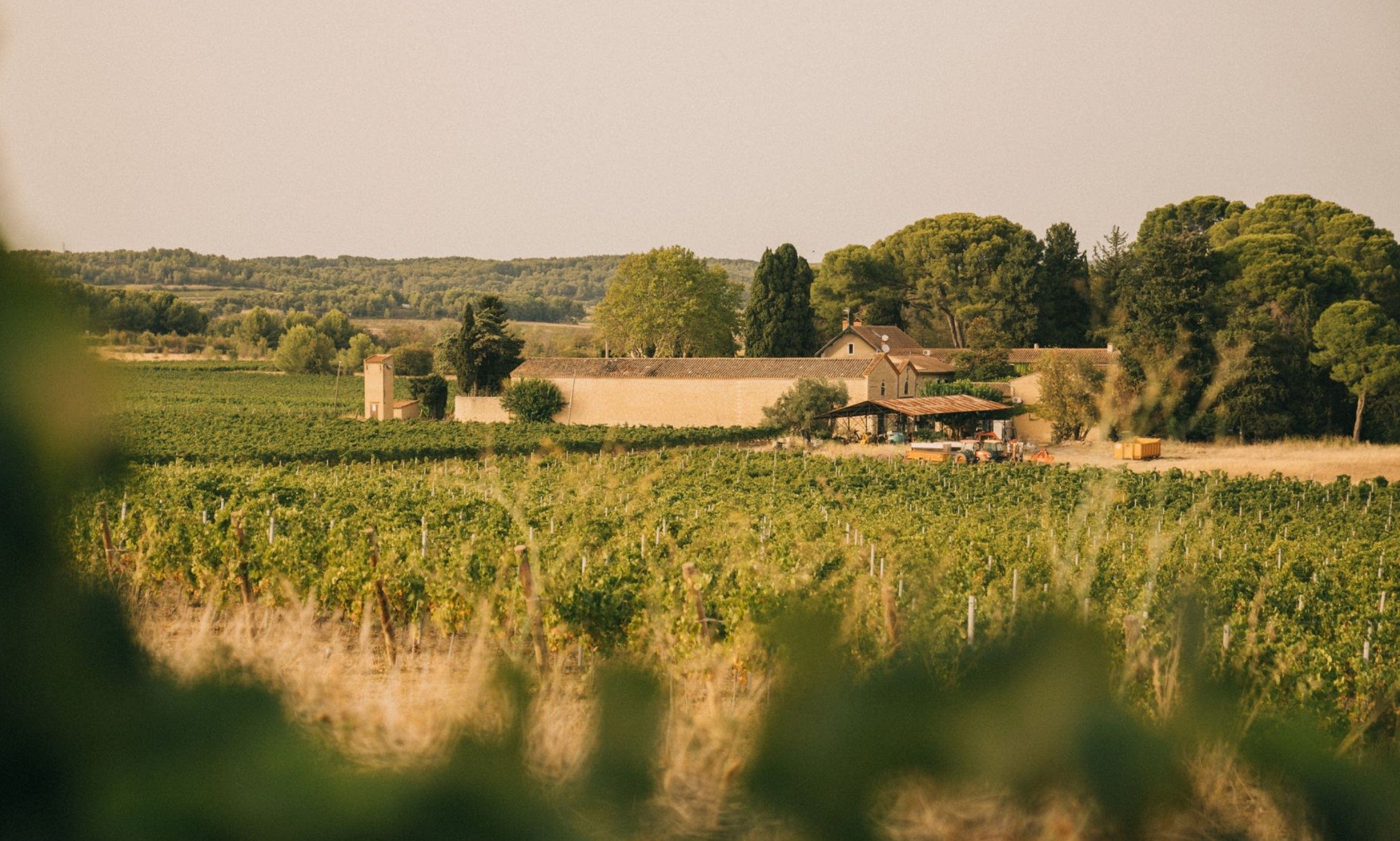 Saint & Sofia - A Good Year