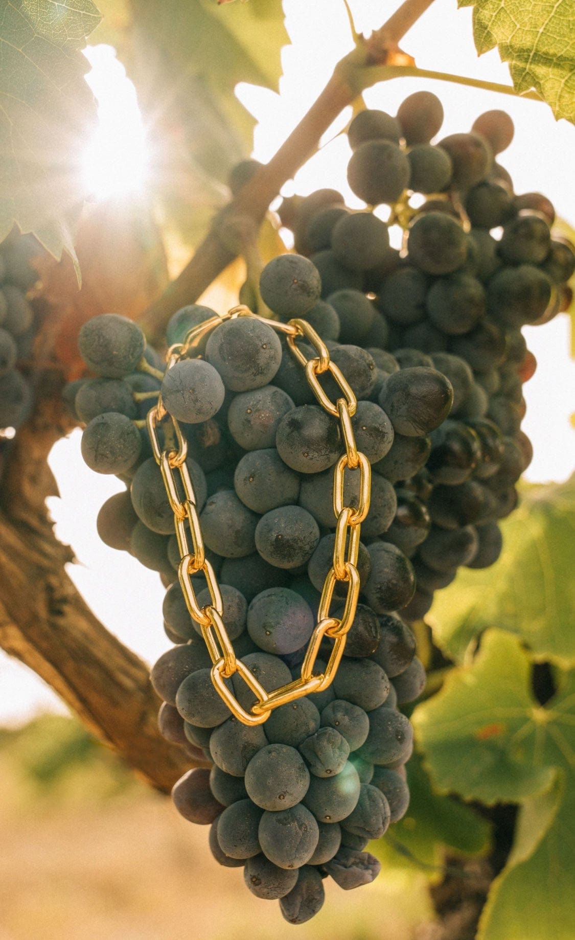 Saint & Sofia - A Good Year