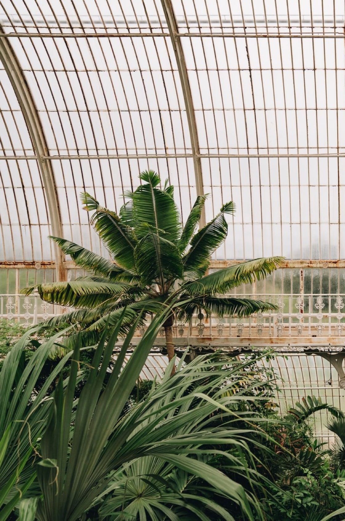 Saint & Sofia - The Botanist