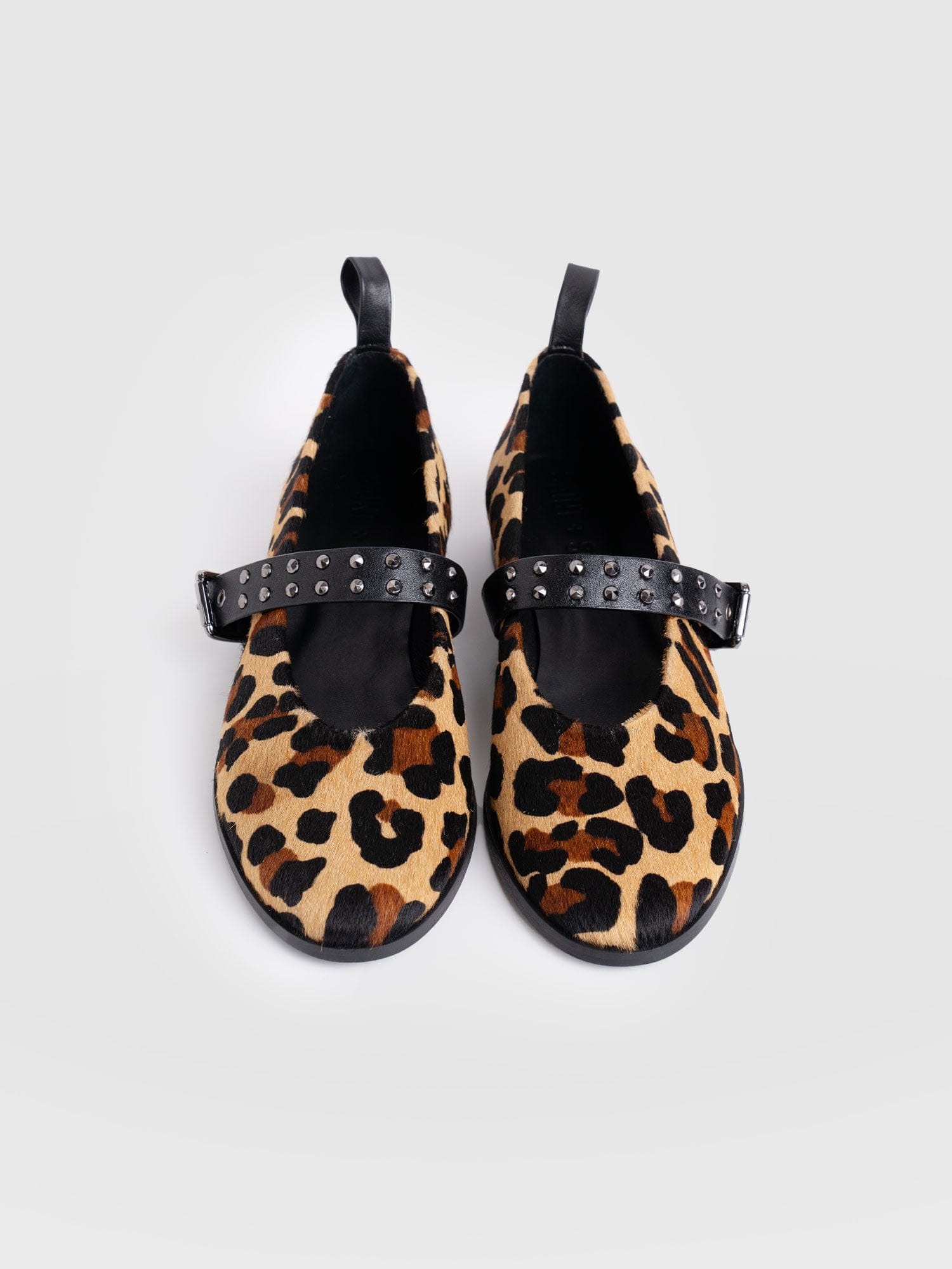 Vega Studded Ballerina Flats - Leopard - Women's Shoes | Saint + Sofia? USA